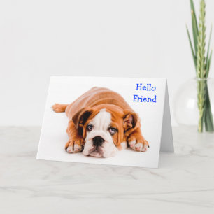 Hallo Vriend Bulldog Wenskaart - Vers Kaart