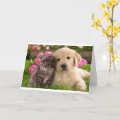 Hallo Vriend Golden Retriever Puppy Kitten Kaart (Gele Bloem)