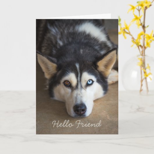 Hallo Vriend Husky Hond Gepersonaliseerde Groet Kaart (Gele Bloem)