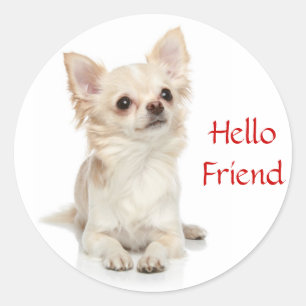 Hallo Vriend Lang Haired Chihuahua Sticker
