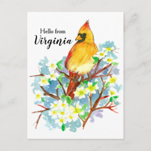 Hallo Vrouw van Virginia Kardinaal Dogwood Briefkaart