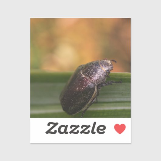 Hallo Wereld! Sticker (Vel)