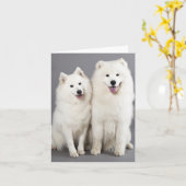 Hallo White Samoyed Puppy Dog - Kaart (Gele Bloem)