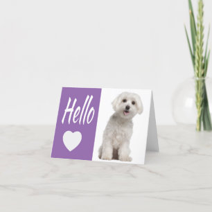 hallo Witte Maltese puppy Dog Paars Heart Notecar Kaart