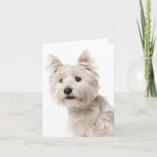Hallo Witte West Highland Terrier Puppy hond Kaart
