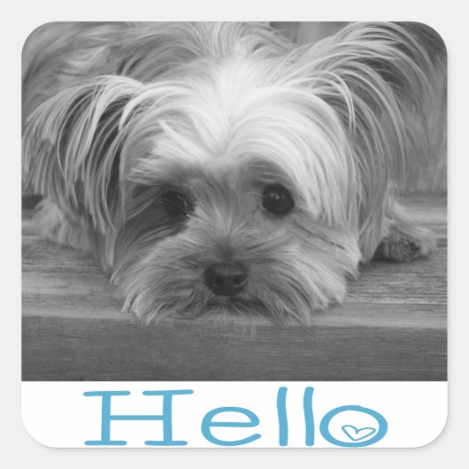 hallo Yorkshire Terrier Puppy Dog Greeting Sticker (Voorkant)