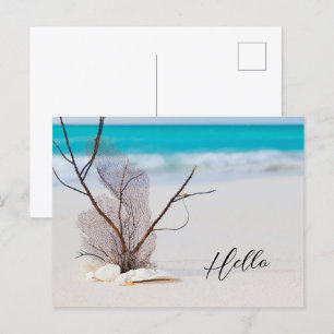 Hallo Zandstrand met witte zeeschelpen Briefkaart