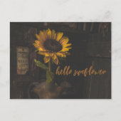 hallo Zonnebloem  Briefkaart (Voorkant)