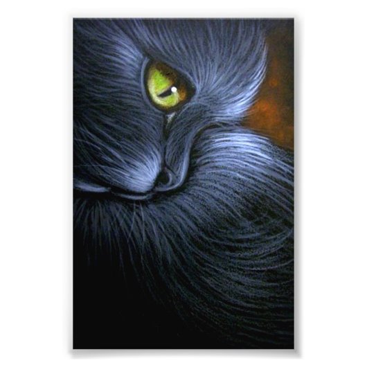 HALLOEEN FANTASY BLACK CAT 4-X 6-INCH AFDRUKKING FOTO AFDRUK (Voorkant)
