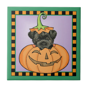 Halloween Affenpinscher Tegeltje