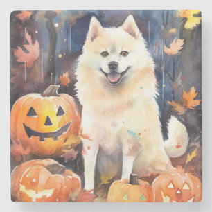 Halloween Amerikaanse Akita Met Pompoenen Griezele Stenen Onderzetter