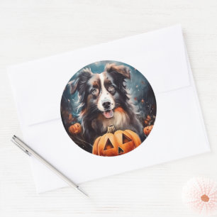 Halloween Australian Shepherd Met Pompoenen Grieze Ronde Sticker