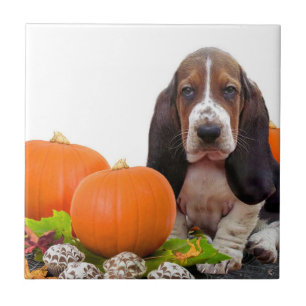 Halloween Basset Hound Ceramic Tile Tegeltje