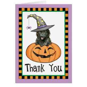 Halloween Belgian Sheepdog