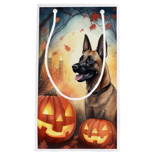 Halloween Belgium Malinoi met pompoenen eng Klein Cadeauzakje (Voorkant)