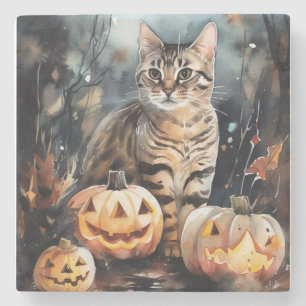 Halloween Bengaalse Kat Met Pompoenen Griezelen Stenen Onderzetter