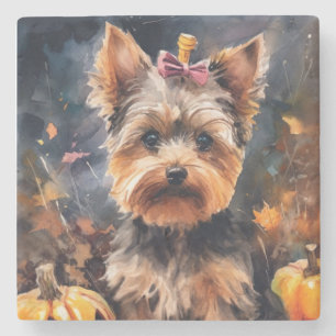 Halloween Biewer Terrier met pompoenen eng Stenen Onderzetter