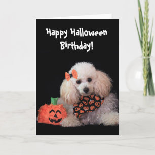 Halloween Birthday poodle Kaart