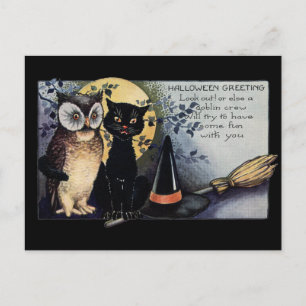 Halloween Black Cat and Owl Briefkaart