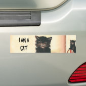 HALLOWEEN Black Cat Bumpersticker (Op auto)