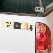 HALLOWEEN Black Cat Bumpersticker (Op Truck)