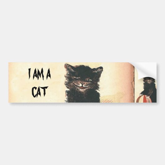 HALLOWEEN Black Cat Bumpersticker (Voorkant)