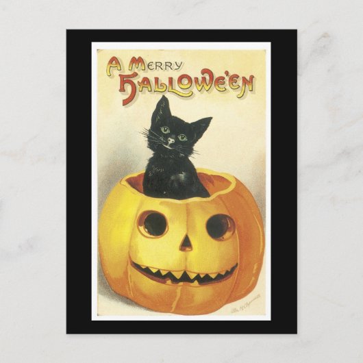 Halloween Black Cat en Pumpkin Briefkaart (Voorkant)