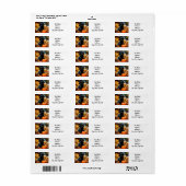 Halloween Black Cat en Pumpkin Etiket (Full Sheet)