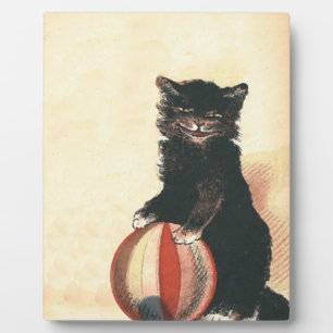  HALLOWEEN Black Cat Fotoplaat