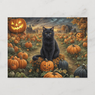 Halloween Black Cat Pumpkin Patch Schattige Feestdagenkaart