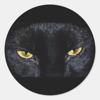 Halloween Black Cat Sticker