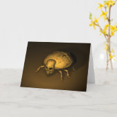 Halloween Bug Kaart (Gele Bloem)