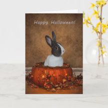 Halloween Bunny in een Wicker Pumpkin