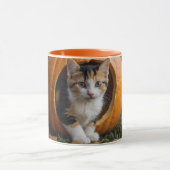 Halloween Calico Kitten Zittend in een Pompoen Mok (Midden)