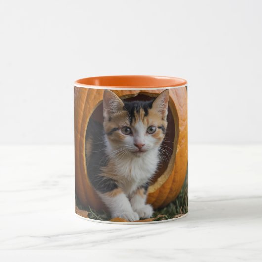 Halloween Calico Kitten Zittend in een Pompoen Mok (Midden)