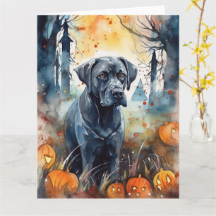 Halloween Cane Corso Met Pompoenen Eng Kaart