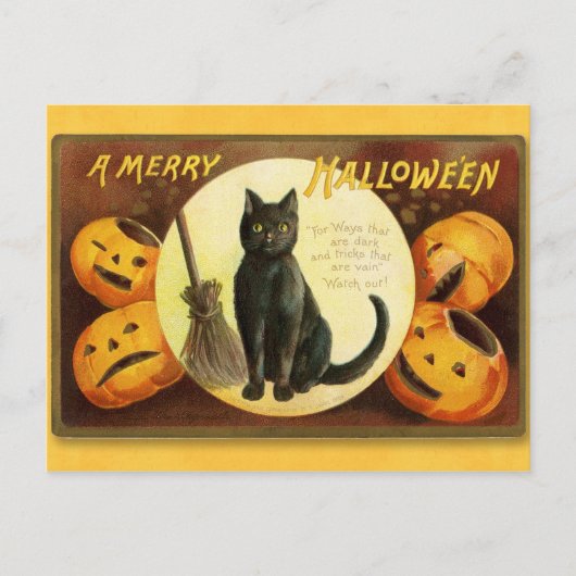 Halloween Cat and Pumpkins Briefkaart (Voorkant)