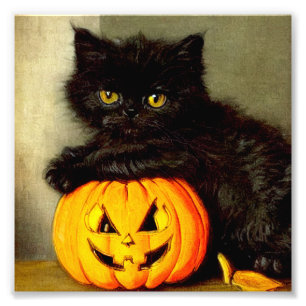 Halloween Cat en Jack-o’-lantaarn Foto Afdruk