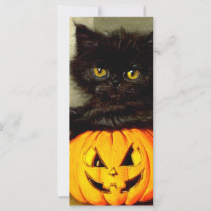 Halloween Cat en Jack-o’-lantaarn Kaart