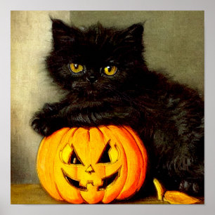 Halloween Cat en Jack-o’-lantaarn Poster