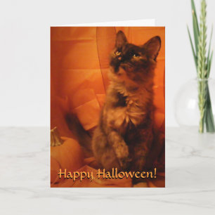 Halloween Cat Kaart