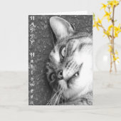 Halloween cat kaart (Gele Bloem)