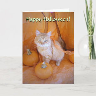 Halloween Cat Kaart