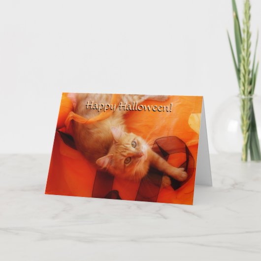Halloween Cat Kaart (Voorkant)