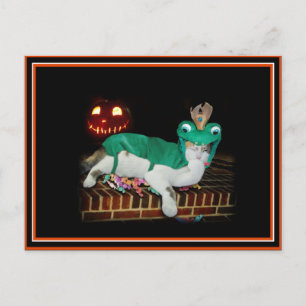 Halloween Cat krijgt de Goederen. Briefkaart