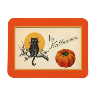 Halloween Cat Magneet