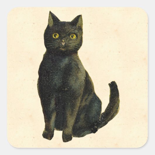  Halloween Cat Vierkante Sticker (Voorkant)