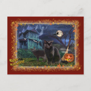 Halloween Cats Briefkaart