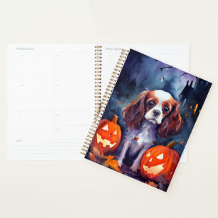 Halloween Cavalier King Charles Citrouille espagno