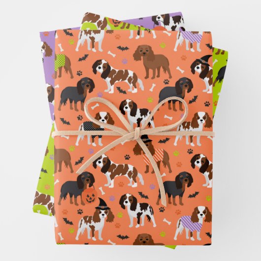 Halloween Cavalier King Charles Spaniel Inpakpapier Vel (In situ)
